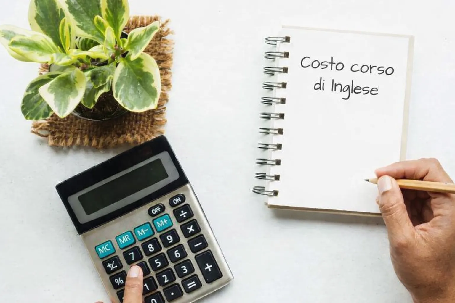 Costi corso di inglese online e in aula spiegati da una scuola specializzata